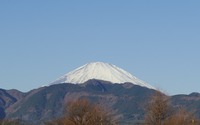 ファイル 1446-1.jpg
