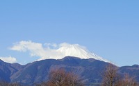 ファイル 1451-1.jpg