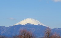 ファイル 1473-1.jpg