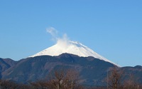 ファイル 1810-1.jpg