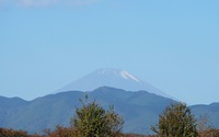 ファイル 2125-1.jpg