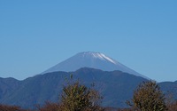 ファイル 2136-1.jpg