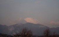 ファイル 2185-1.jpg