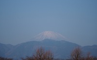 ファイル 2196-1.jpg