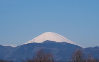 ファイル 2250-2.jpg