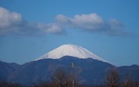 ファイル 2529-1.jpg