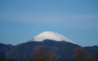 ファイル 2538-1.jpg