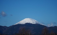 ファイル 2549-1.jpg