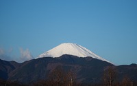 ファイル 2562-1.jpg