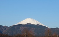 ファイル 2595-1.jpg