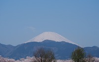 ファイル 2661-1.jpg