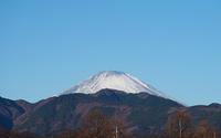 ファイル 2906-1.jpg