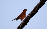 ファイル 2944-4.jpg