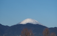 ファイル 3299-1.jpg