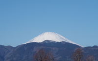 ファイル 3321-1.jpg