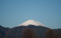 ファイル 3630-1.jpg