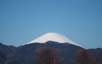 ファイル 3683-1.jpg