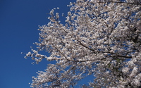 ファイル 3746-2.jpg