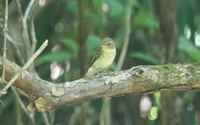 ファイル 3879-2.jpg