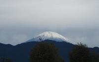 ファイル 3946-1.jpg