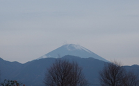 ファイル 4001-1.jpg
