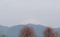 ファイル 4097-1.jpg