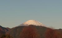 ファイル 4351-1.jpg
