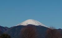 ファイル 4389-1.jpg