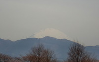 ファイル 462-1.jpg