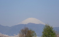 ファイル 469-1.jpg