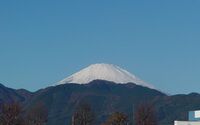 ファイル 5447-1.jpg