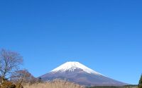 ファイル 5451-2.jpg