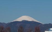ファイル 5549-1.jpg