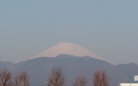 ファイル 5561-1.jpg