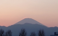ファイル 5561-2.jpg