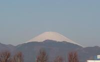 ファイル 5562-1.jpg