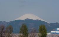 ファイル 5578-1.jpg