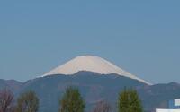 ファイル 5579-1.jpg