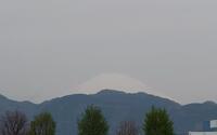 ファイル 5581-1.jpg