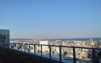 ファイル 5587-4.jpg