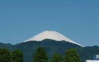 ファイル 5603-1.jpg