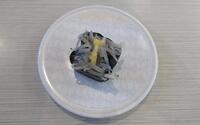ファイル 5723-5.jpg