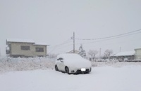 ファイル 5884-1.jpg