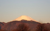 ファイル 764-1.jpg