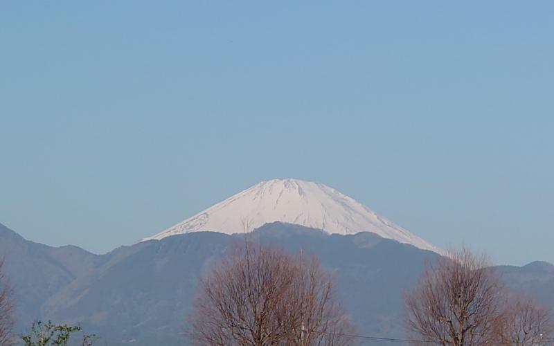 4072-1.jpg