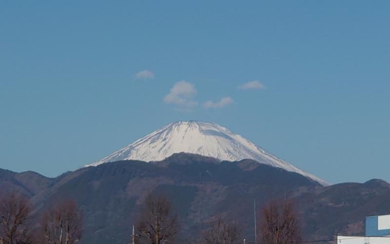 5537-1.jpg