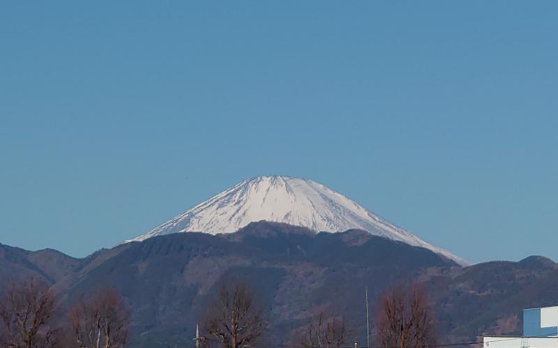 5538-1.jpg