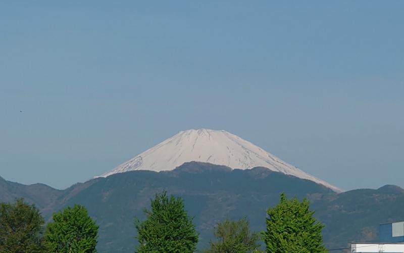 5591-1.jpg