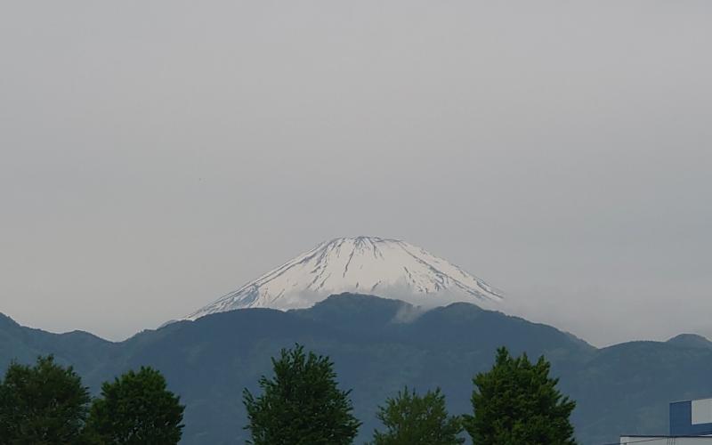 5595-1.jpg