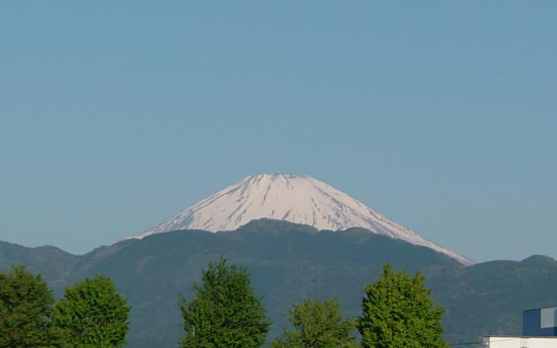 5597-1.jpg